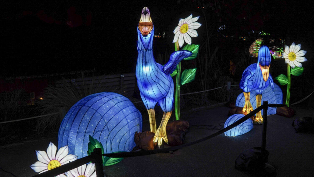 China Lights im K&ouml;lner Zoo