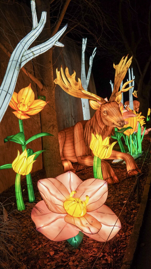 China Lights im K&ouml;lner Zoo