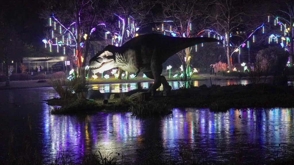 China Lights im K&ouml;lner Zoo