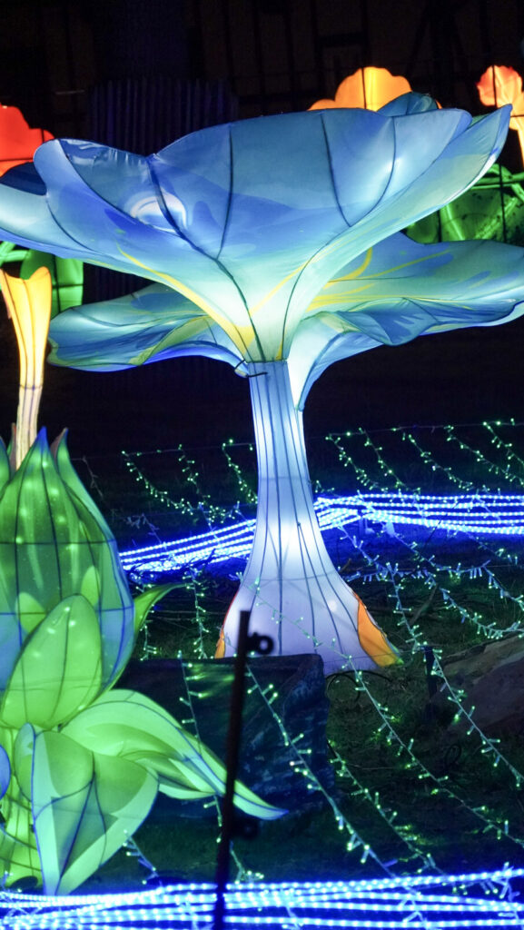 China Lights im K&ouml;lner Zoo