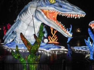 China Lights im K&ouml;lner Zoo