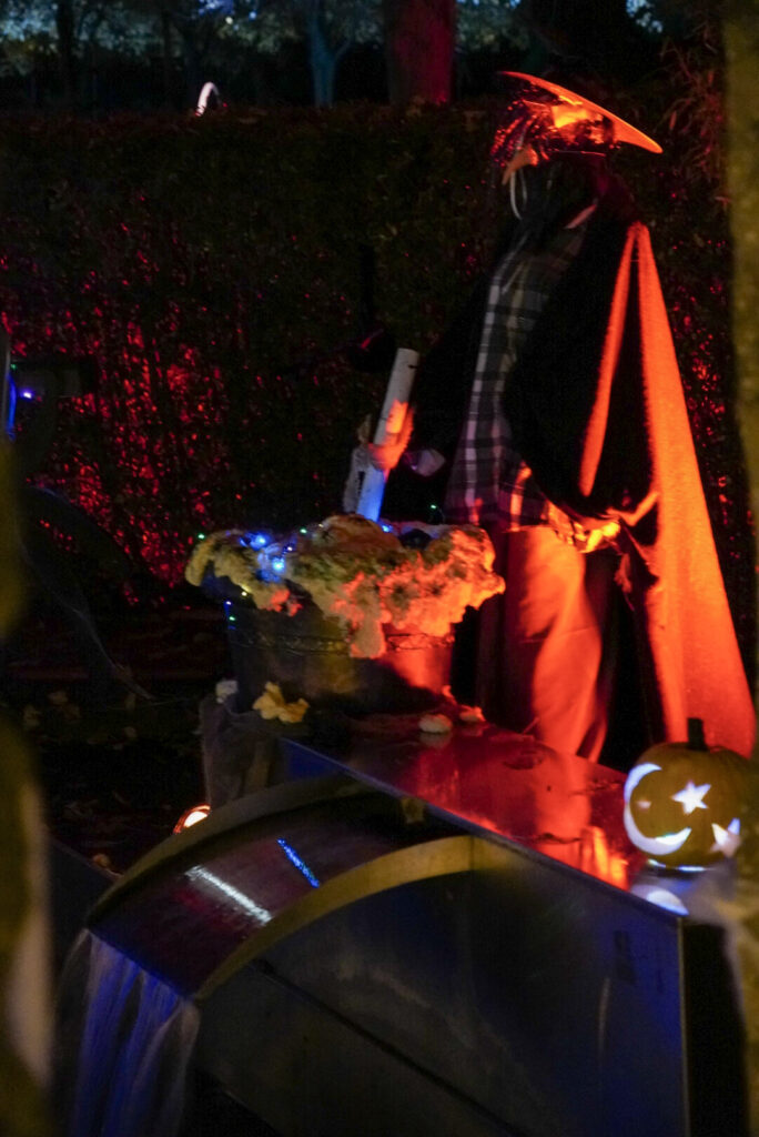 Herbstlichter Br&uuml;ckenkopfpark J&uuml;lich