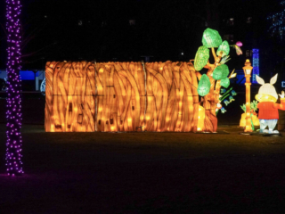 Garden of Lights Garden of Lights