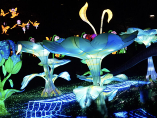 China Lights im K&ouml;lner Zoo