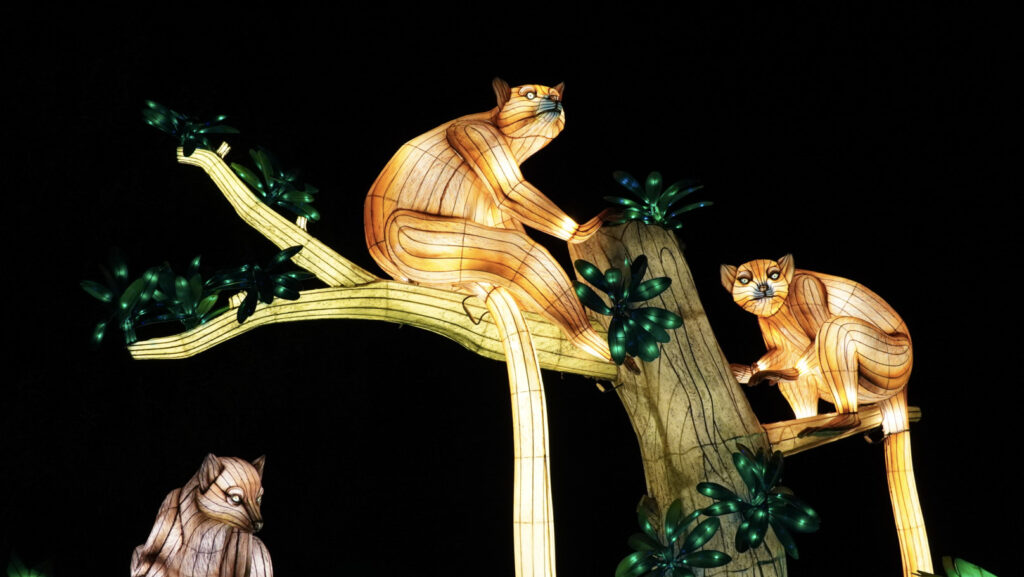 China Lights im K&ouml;lner Zoo