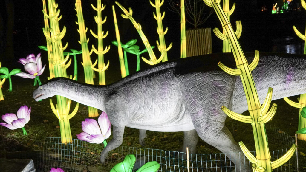 China Lights im K&ouml;lner Zoo