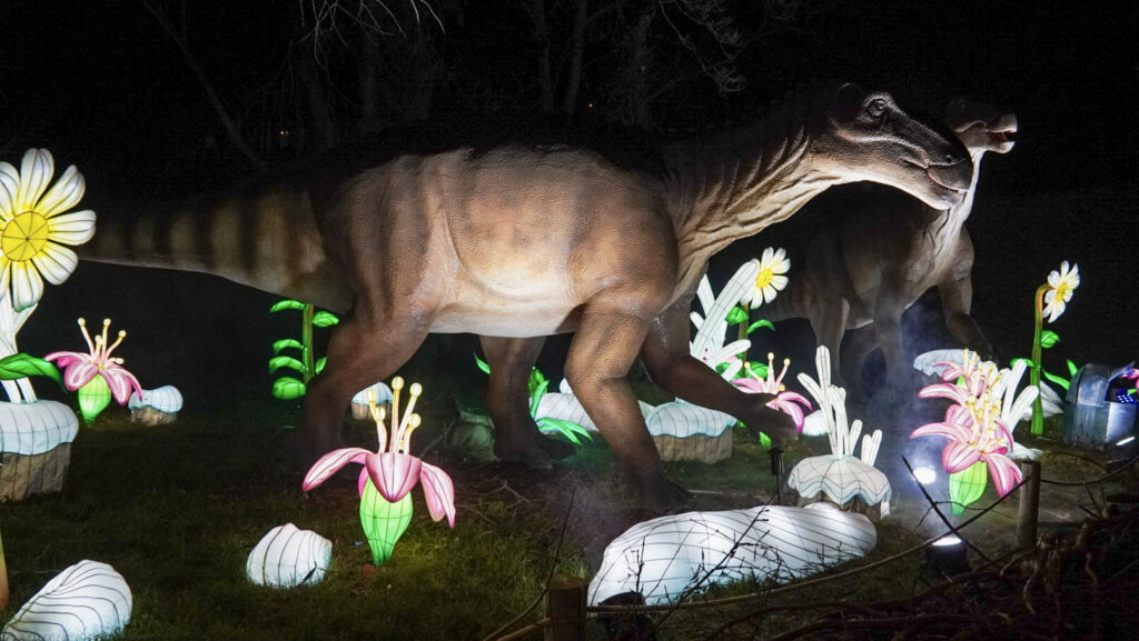 China Lights im K&ouml;lner Zoo