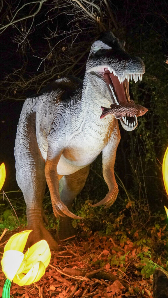 China Lights im K&ouml;lner Zoo