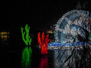 China Lights im K&ouml;lner Zoo