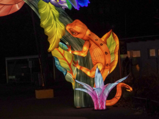 China Lights im K&ouml;lner Zoo
