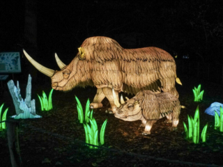 China Lights im K&ouml;lner Zoo