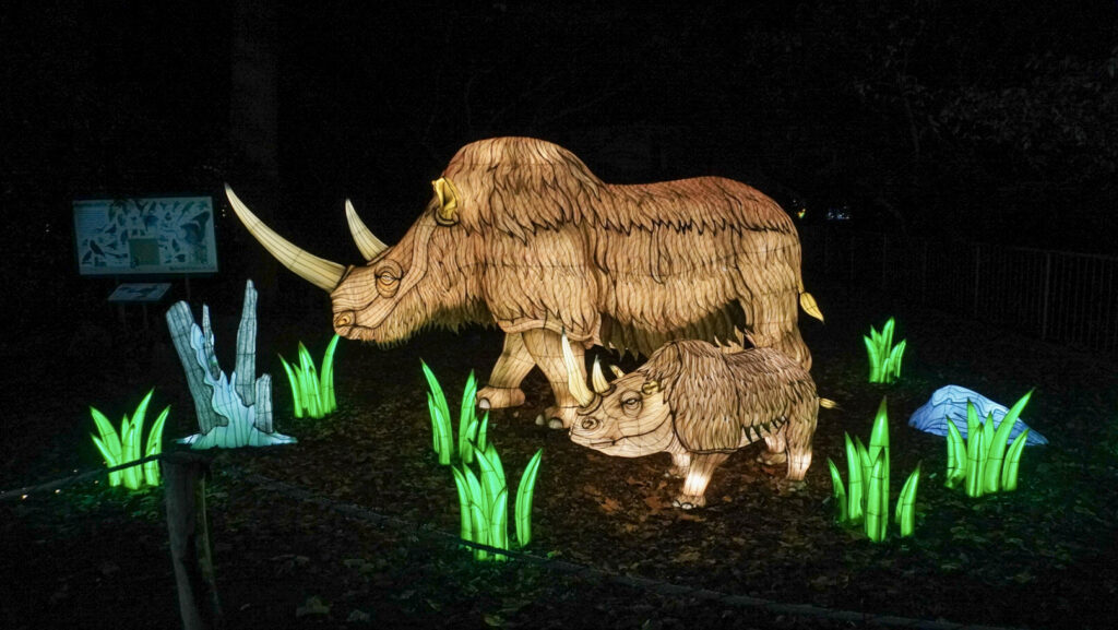 China Lights im K&ouml;lner Zoo