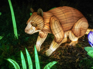 China Lights im K&ouml;lner Zoo