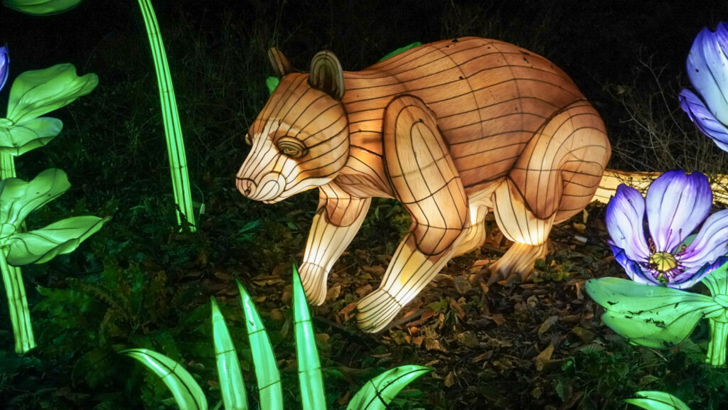 China Lights im K&ouml;lner Zoo