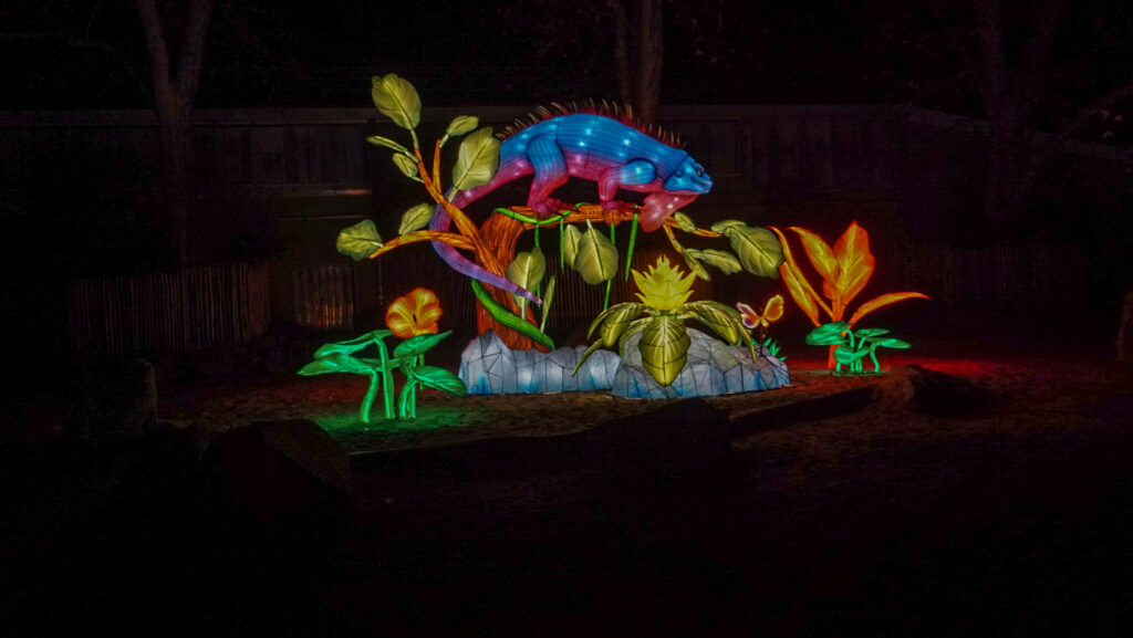 China Lights im K&ouml;lner Zoo