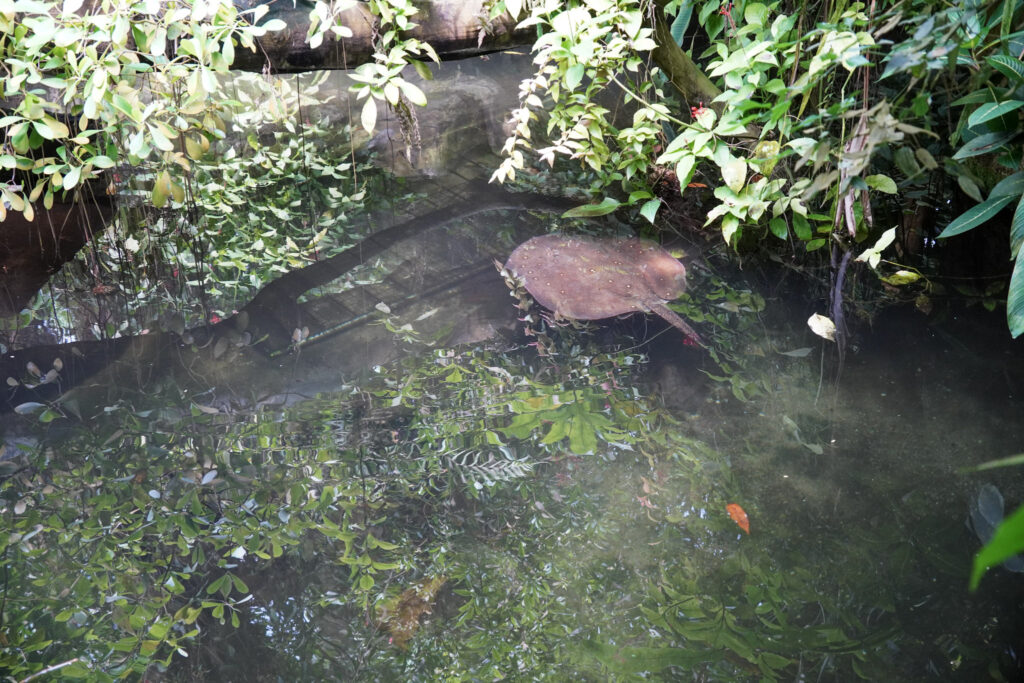 Burgers' Zoo Burgers' Zoo