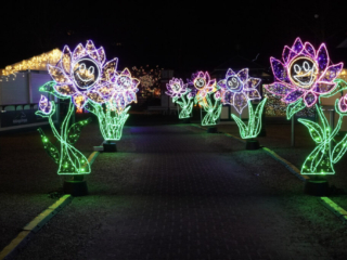 Garden of Lights Garden of Lights