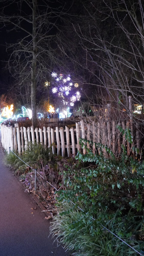 China Lights im K&ouml;lner Zoo
