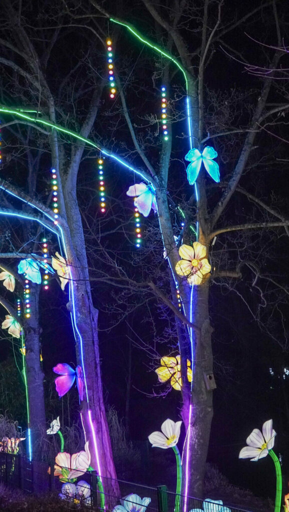 China Lights im K&ouml;lner Zoo