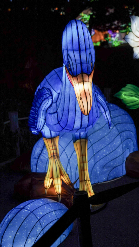 China Lights im K&ouml;lner Zoo