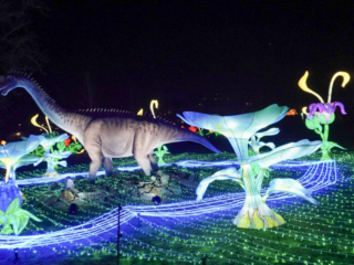 China Lights im K&ouml;lner Zoo