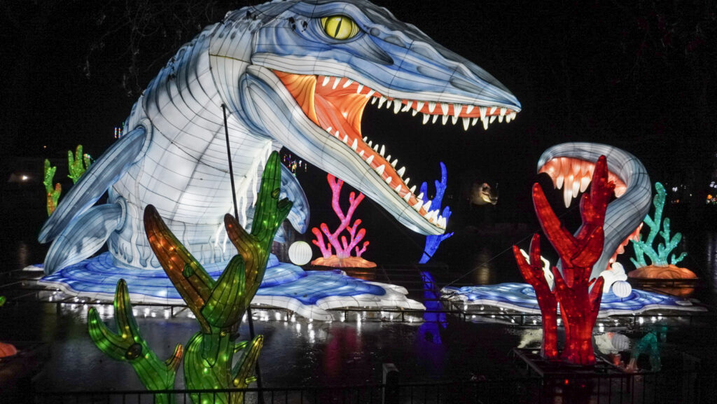 China Lights im K&ouml;lner Zoo