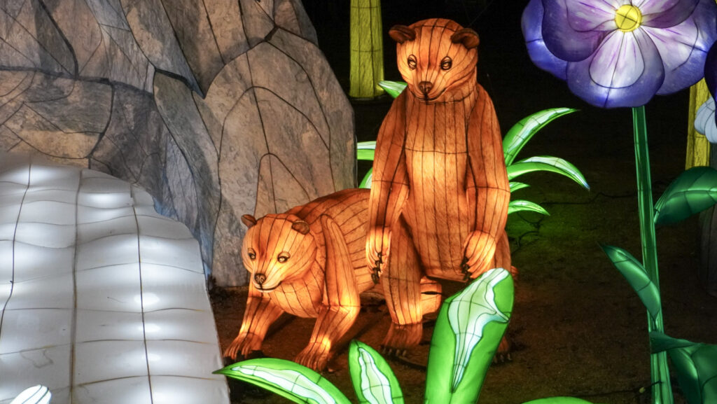 China Lights im K&ouml;lner Zoo