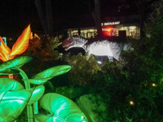 China Lights im K&ouml;lner Zoo