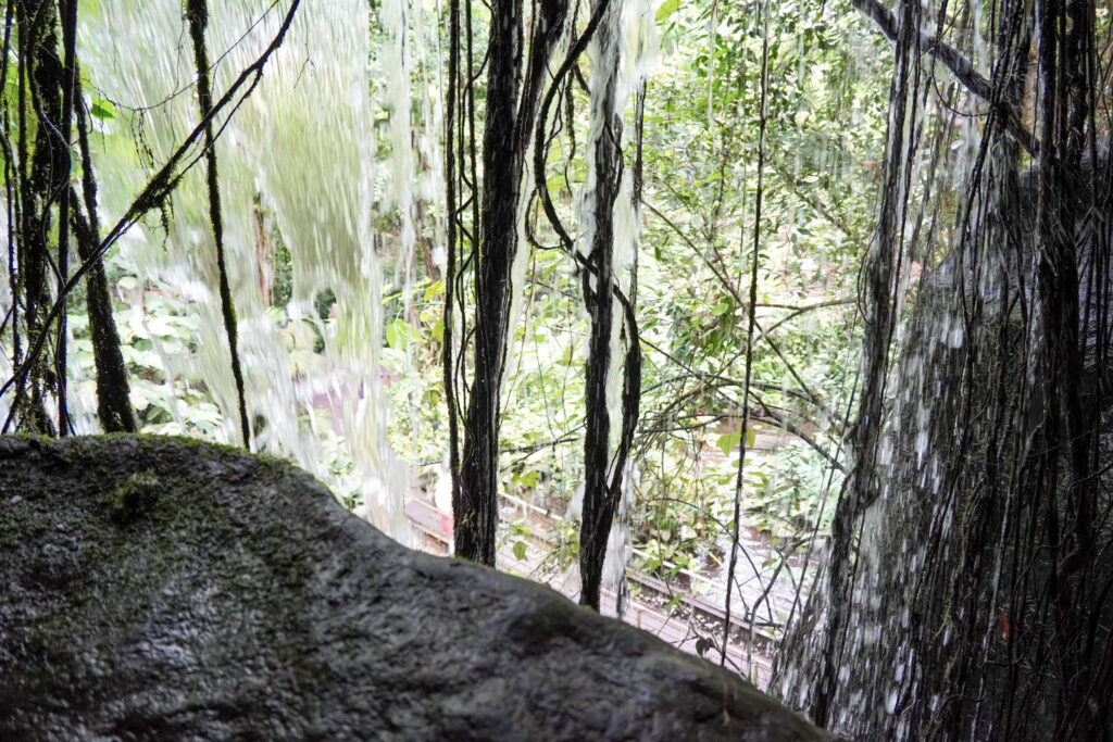 Burgers' Zoo Burgers' Zoo