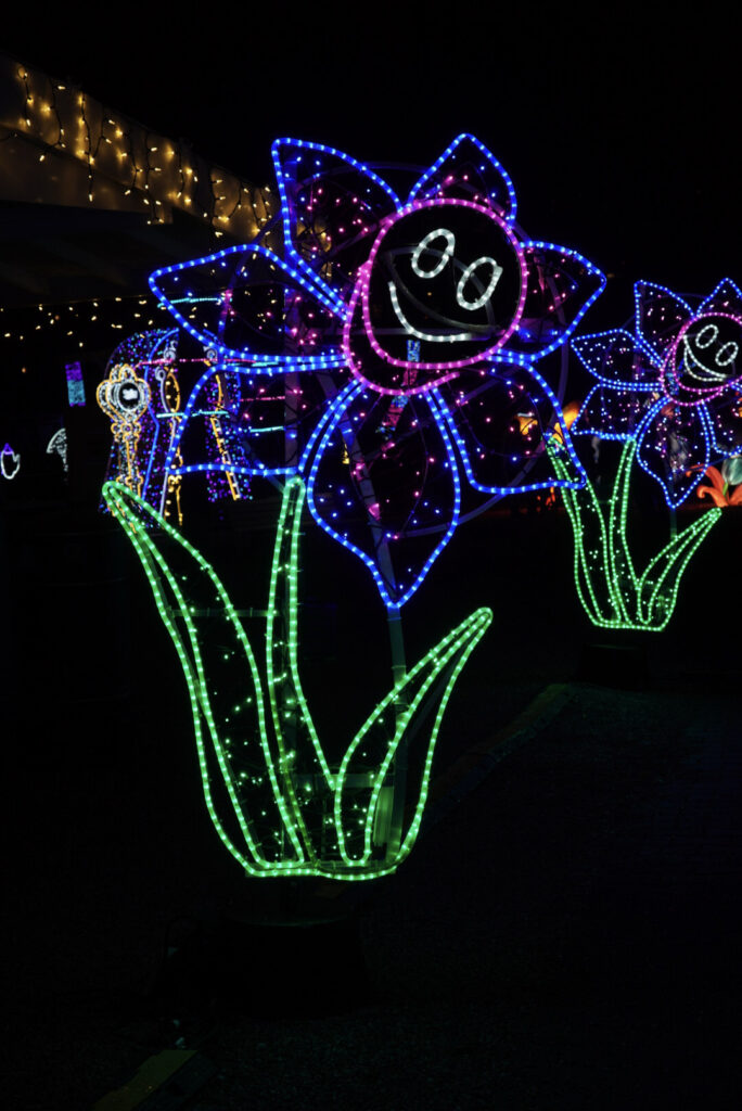 Garden of Lights