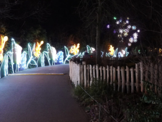 China Lights im K&ouml;lner Zoo