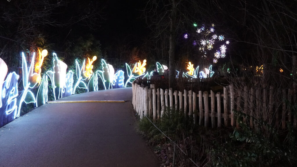 China Lights im K&ouml;lner Zoo