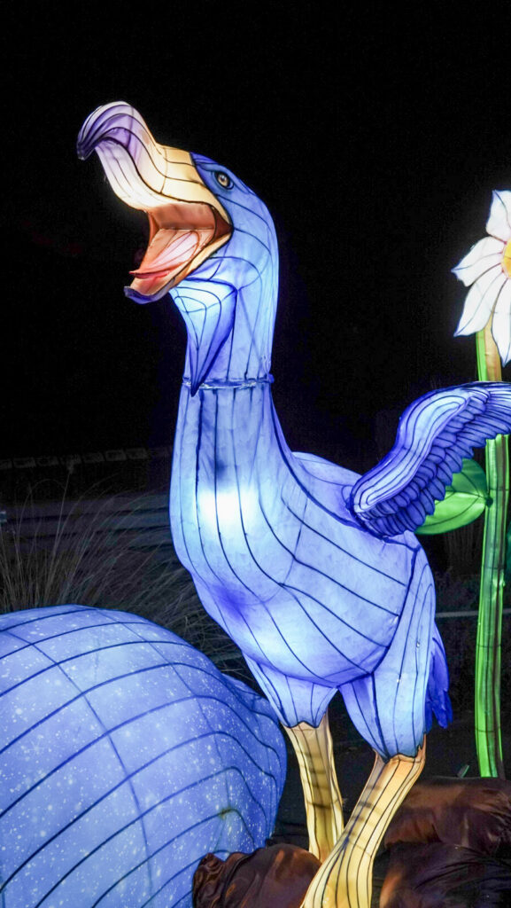 China Lights im K&ouml;lner Zoo