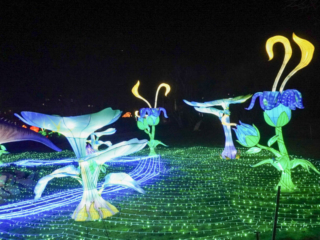China Lights im K&ouml;lner Zoo