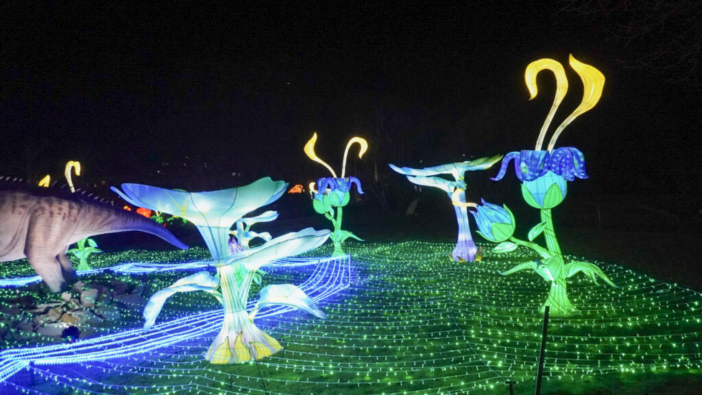 China Lights im K&ouml;lner Zoo