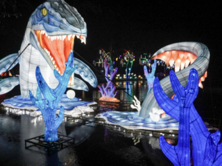 China Lights im K&ouml;lner Zoo