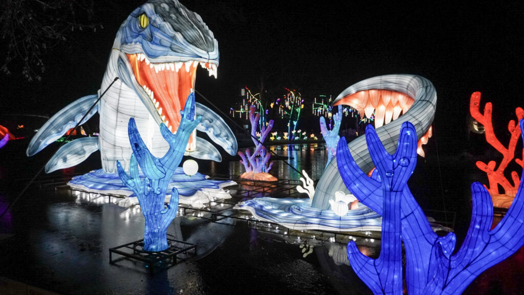 China Lights im K&ouml;lner Zoo