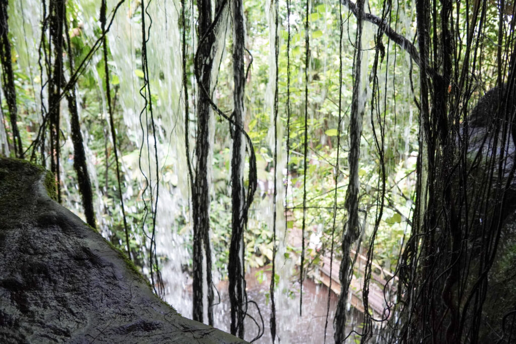Burgers' Zoo Burgers' Zoo