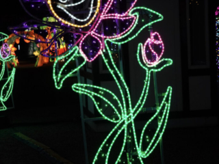 Garden of Lights Garden of Lights