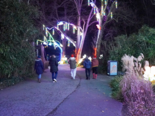 China Lights im K&ouml;lner Zoo