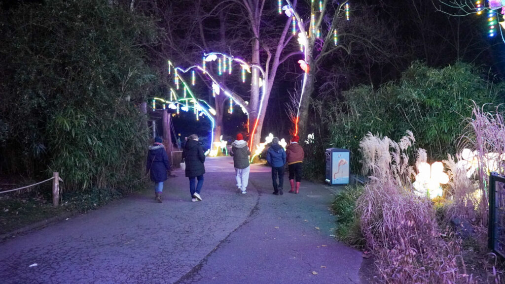 China Lights im K&ouml;lner Zoo