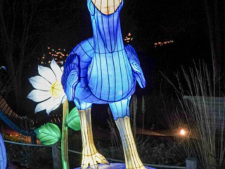 China Lights im K&ouml;lner Zoo