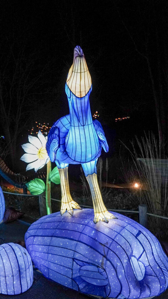 China Lights im K&ouml;lner Zoo