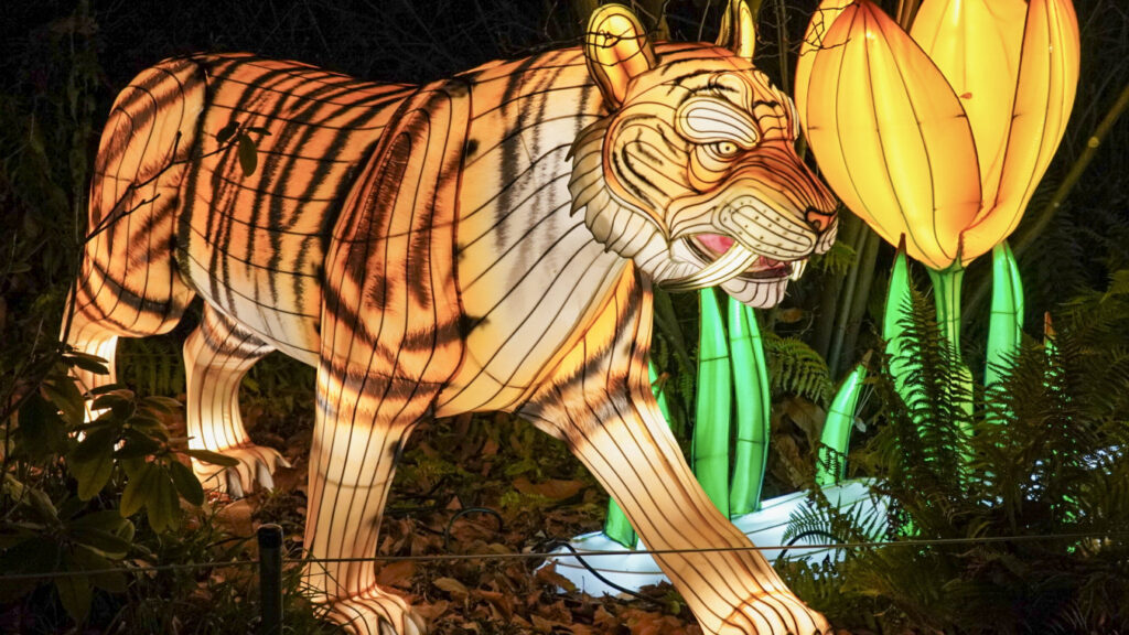 China Lights im K&ouml;lner Zoo