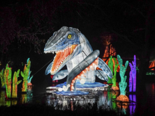 China Lights im K&ouml;lner Zoo