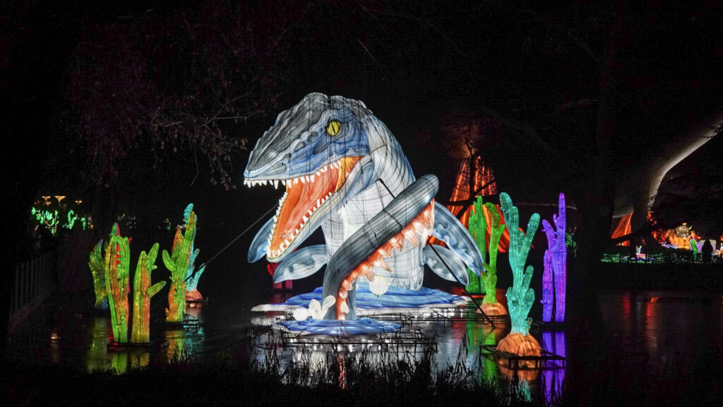 China Lights im K&ouml;lner Zoo
