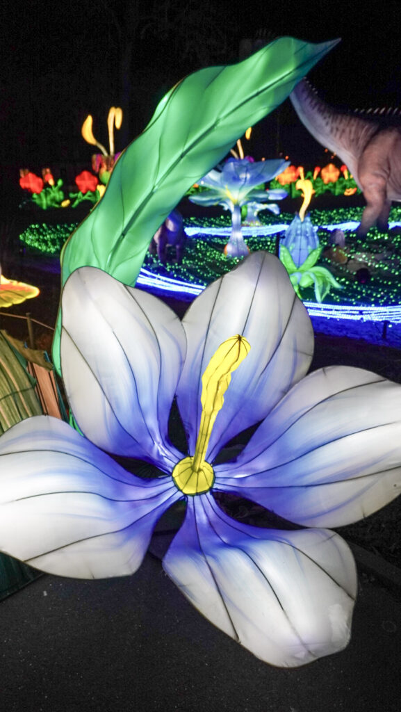 China Lights im K&ouml;lner Zoo