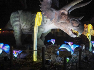 China Lights im K&ouml;lner Zoo