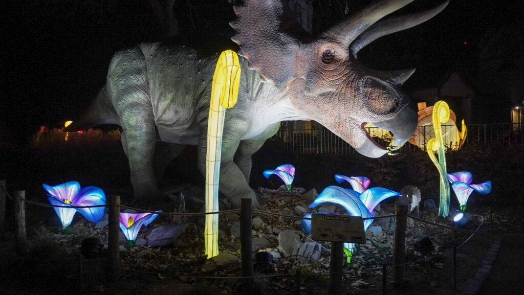 China Lights im K&ouml;lner Zoo