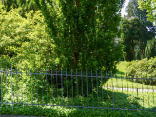 Bootsfahrt und Besuch des Drachenfelsens